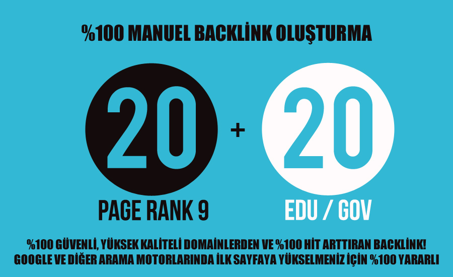 20backlink